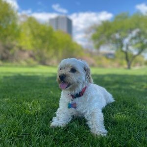 Meet your Posher, Omar